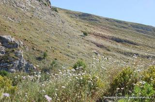 ntana Paradiso-15-05-2014 17-45-09